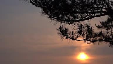 夕阳落日风景空镜头视频的预览图